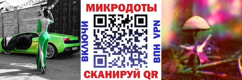 Галлюциногенные грибы Psilocybe  Благодарный 